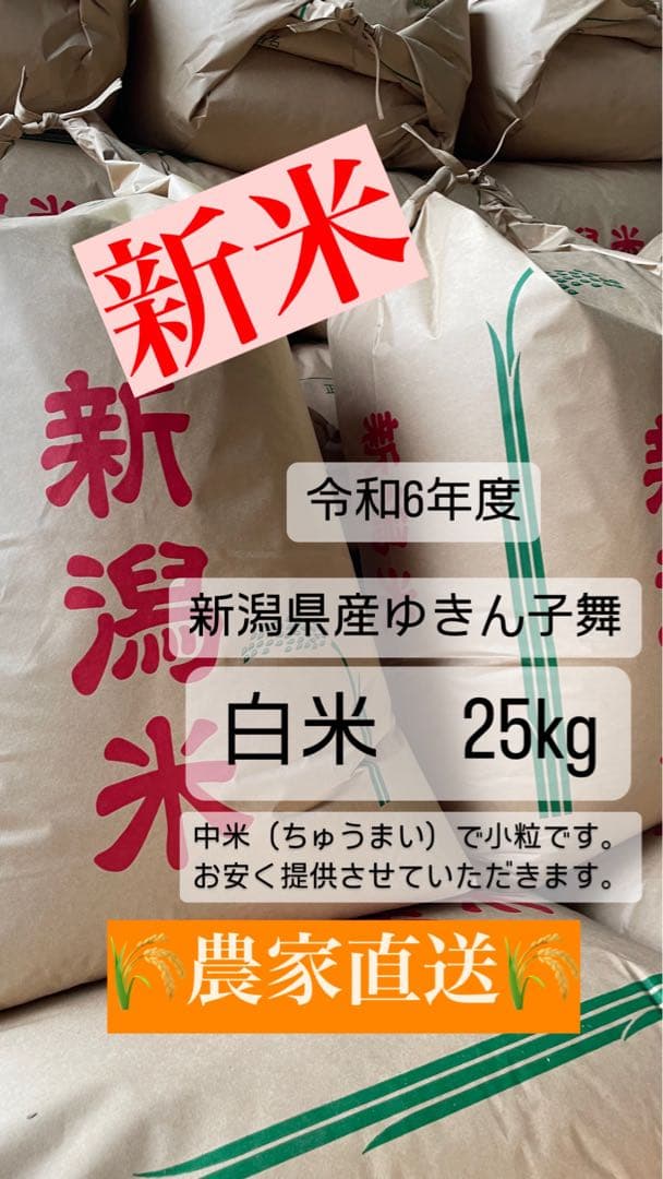 新米！令和6年度産 新潟県産ゆきん子舞（中米）25kg