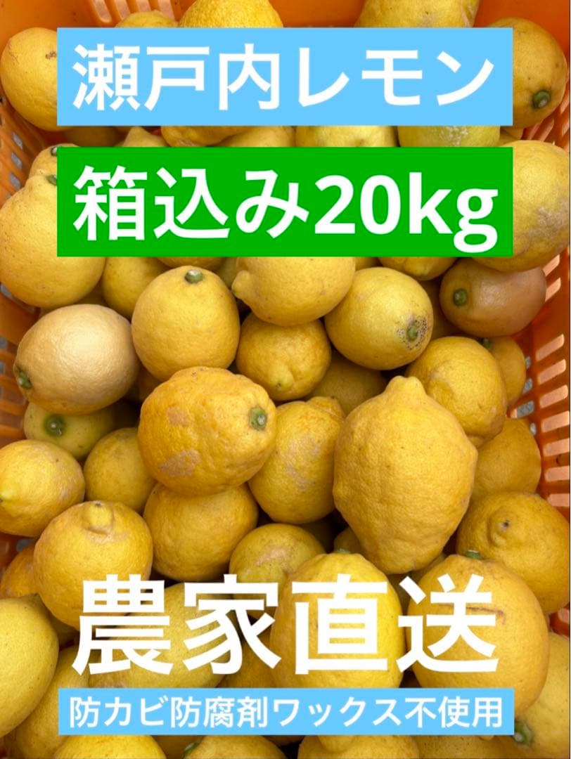 瀬戸内レモン 20kg