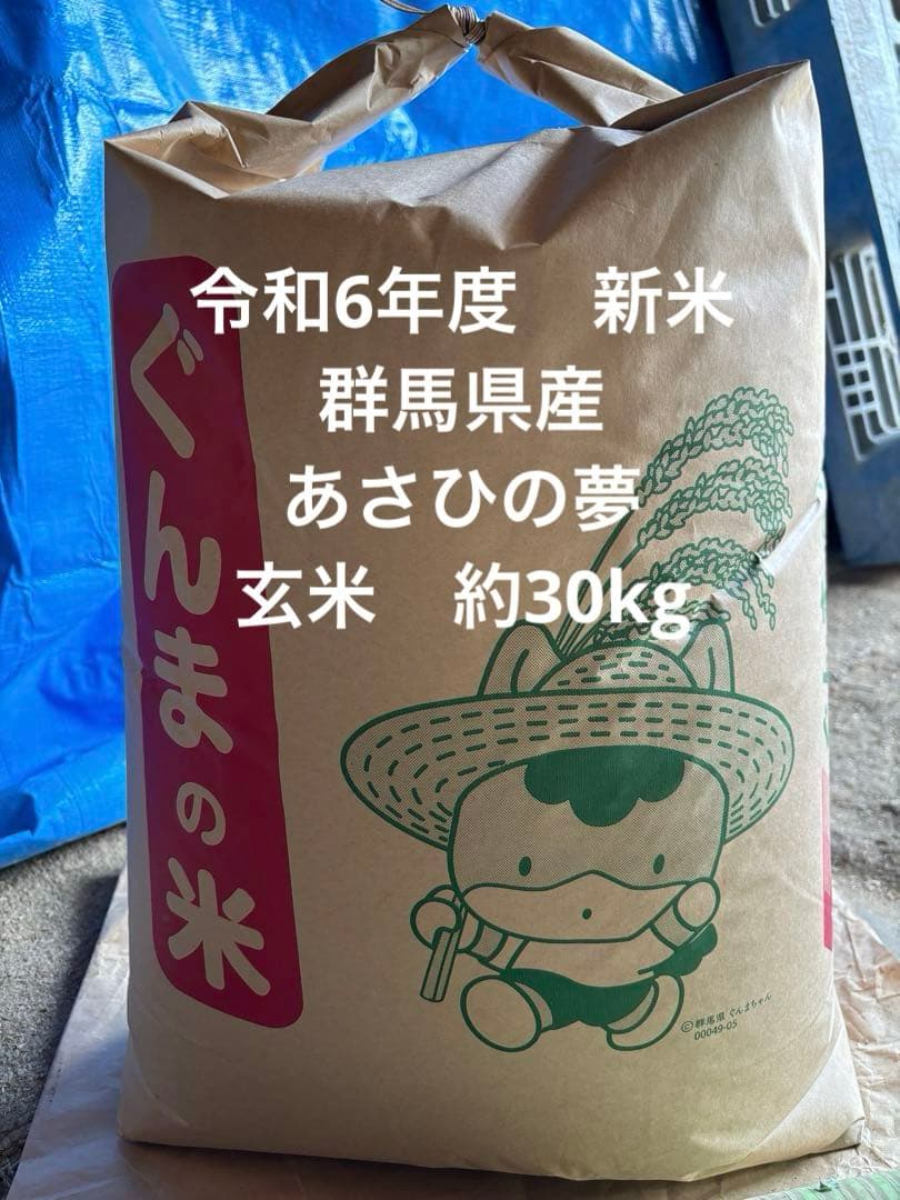 【農家直送】令和6年度群馬県産  あさひの夢  玄米30Kg