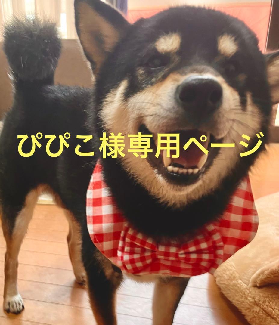 ぴぴこ様専用 ワンピース